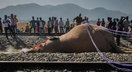 ছবি : সংগৃহীত