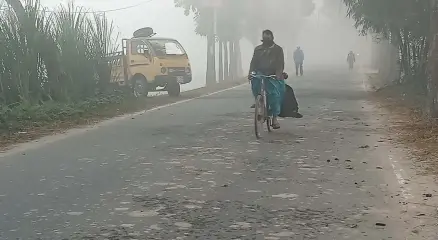 ছবি : সংগৃহীত