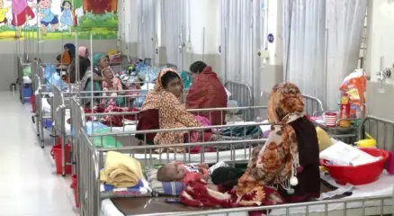 ছবি : সংগৃহীত