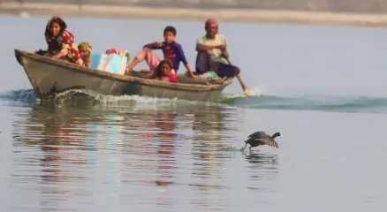 ছবি : সংগৃহীত